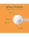 1111 NARANJA WHEY PROTEIN PROTELLA 1KG TROPICAL