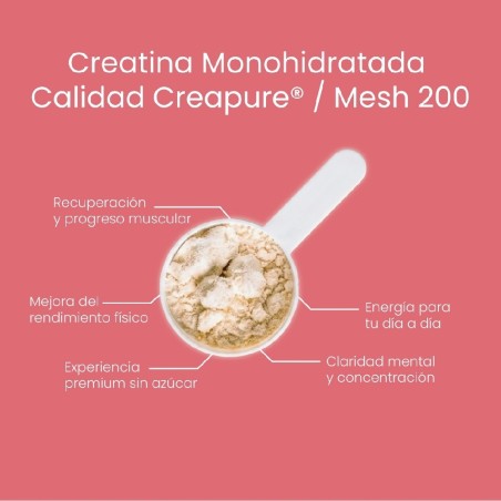 1117 CORAL CREATINA MONOHYDRATO LOLLIPOP