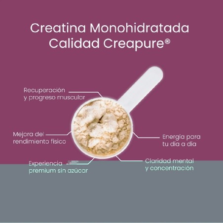 1121 CORAL CREATINA MONOHYDRATO POPPING CANDY