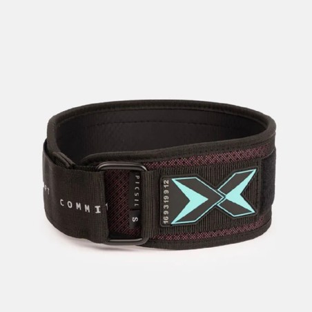 174 AZUL CINTO HALTERO PICSIL BASIC